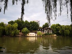 -运河游船(武林门码头)