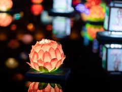 -清明上河园