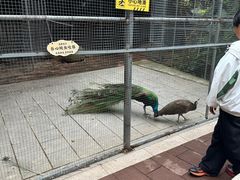 -厦门悦华酒店