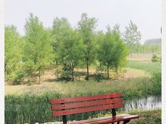 -东郊湿地公园