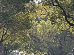 -上海交通大学(闵行校区)