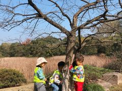 -杭州龙井幼儿园