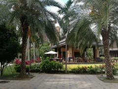 -亚马逊丛林水乐园