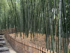 -乌镇东栅景区