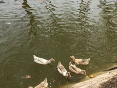 -东郊湿地公园