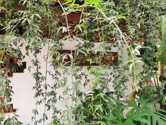 -三圣花乡旅游区