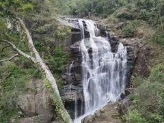 -海南热带雨林国家公园吊罗山景区