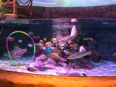 -沈阳海洋探索中心