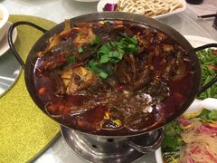 -庐州太太(南七里店)