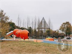 -上海市第一人民医院(松江南部)