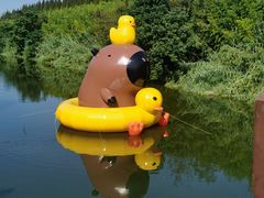 -黄海国家森林公园