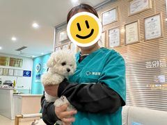 -美迦爱-牙专科·兔科·骨科诊疗中心(北苑店)