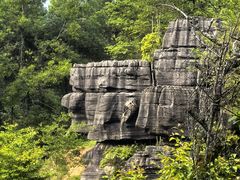 -梭布垭石林景区