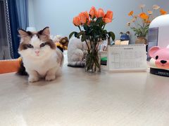 -盒马鲜生(馥邦国际店)