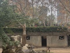 -成都动物园
