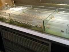 -金权道韩式自助烤肉(嘉华国际店)