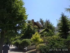 -武清南湖绿博园