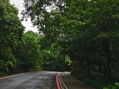 -小湾茶楼