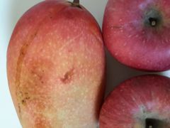 -沈阳市八家子水果批发市场