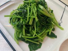 清炒鸡毛菜-19号私房菜(云南路店)