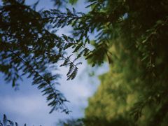 -捞渔河湿地公园