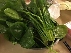 菠菜-月圆火锅(宁海东路二店)