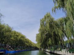 -皇家御河游(紫御湾码头)