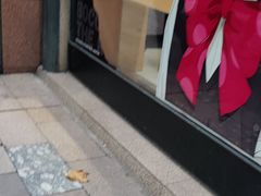 -Sony Store 索尼(上海淮海中路店)