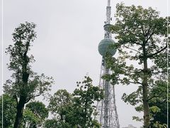-文华公园(禅城区)