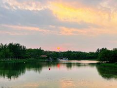 -大兴滨河森林公园