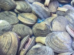 -震海贝烤贝·民俗特色店(延吉总店)
