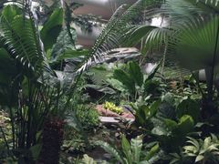 iphone_upload_pic-新加坡香格里拉