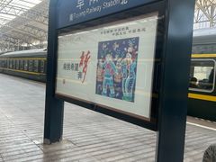 -阜阳站