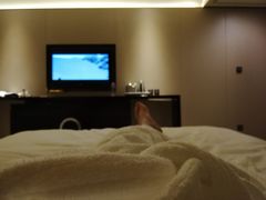 -广交会威斯汀酒店