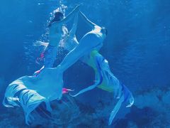 -芜湖新华联大白鲸海洋公园