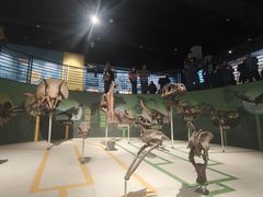 -国家自然博物馆