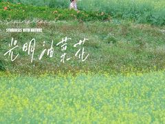 -光明小镇欢乐田园