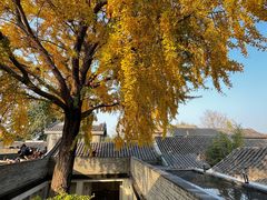 -自如ZSPACE四合院艺术餐厅