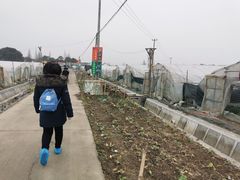 -小鱼草莓采摘园农家乐·小鱼餐厅