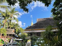 -纳兰傣雀傣味餐厅