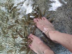 -明谷行馆·温泉