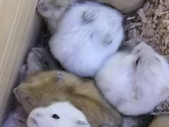 -大玩家超乐场(仓山万达店)
