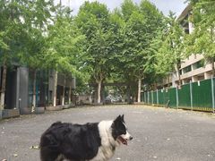-东信·和创园