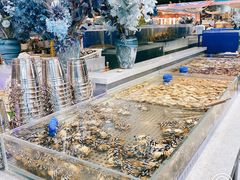 -圣罗巴海鲜自助(黑金店)