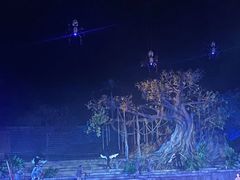 -三亚红色娘子军演艺公园景区