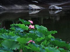-西南政法大学(渝北校区)