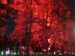 -文华公园(禅城区)