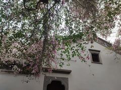 -深圳国际园林花卉博览园