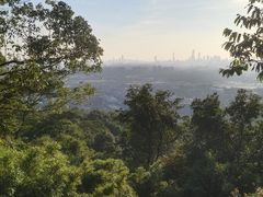 -火炉山森林公园