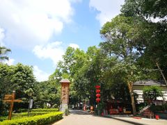 -南宁良凤江国家森林公园